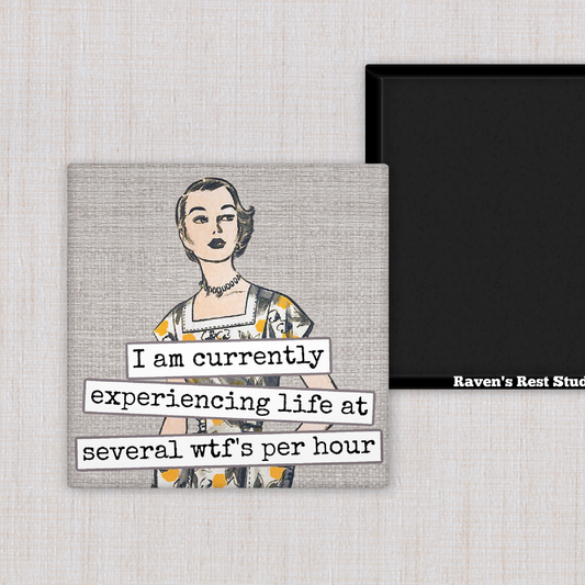 Magnet - I Am Currently Experiencing Life