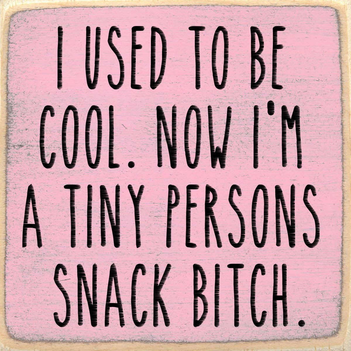 4X4 Block Sign - Snack Bitch