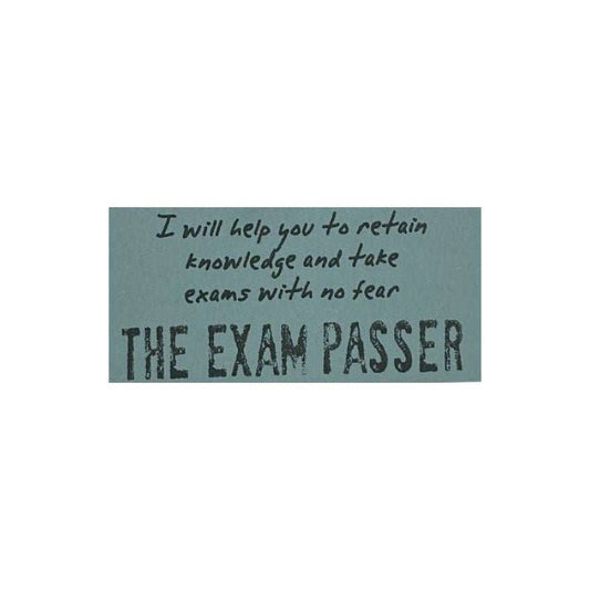 The Exam Passer  - Watchover Voodoo Dolls - Keychain
