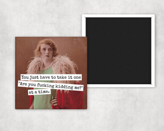 Magnet - You Just Have To Take It One Are You Kidding Me