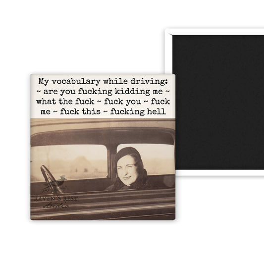 Magnet -  My Vocabulary While Driving...