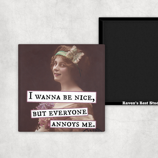 Magnet - I Wanna Be Nice