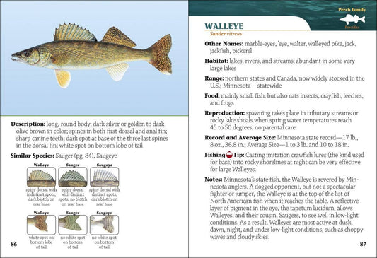 Fish of Minnesota Field Guide 2e