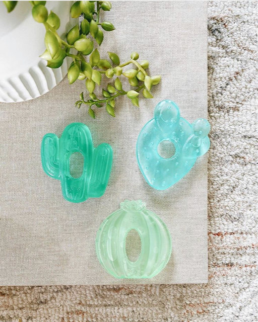 Cutie Coolers™ Water Filled Teethers (3-pack) - Cactus