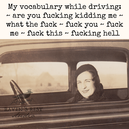 Magnet -  My Vocabulary While Driving...