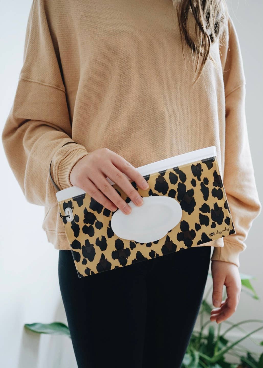 Take & Travel™ Pouch Reusable Wipes Cases: Raining Dinos