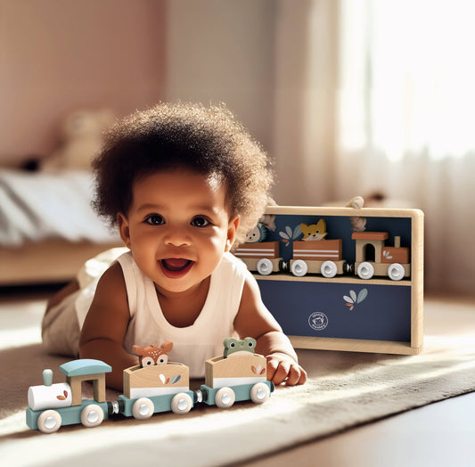 Train Set in Display Case