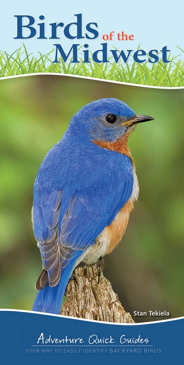Birds of Midwest Quick Guide