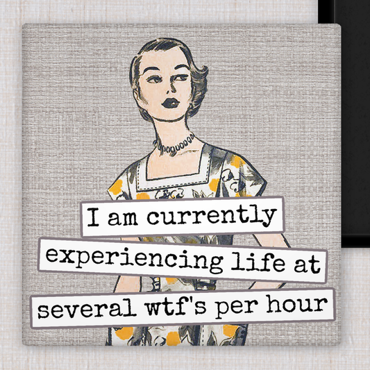 Magnet - I Am Currently Experiencing Life