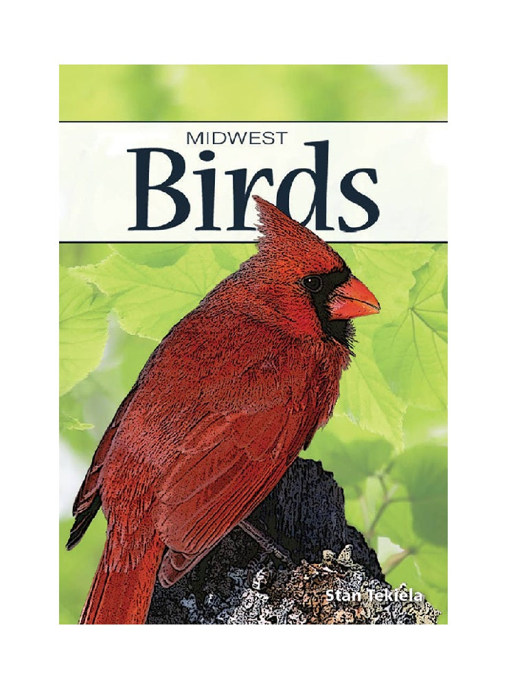 Birds of Midwest Playing Cards