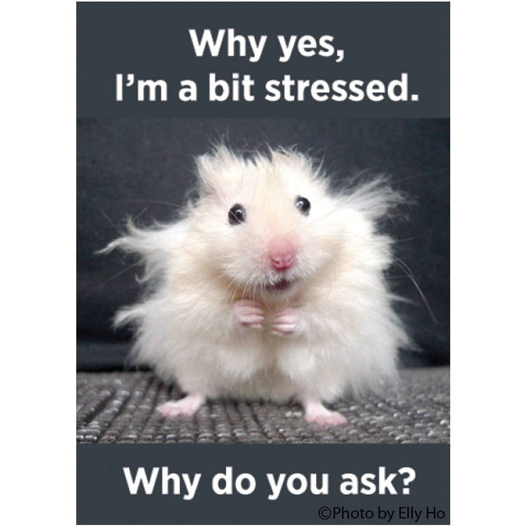 Hamster with text 'Why yes, I'm a bit stressed. Why do you ask?' on a dark background