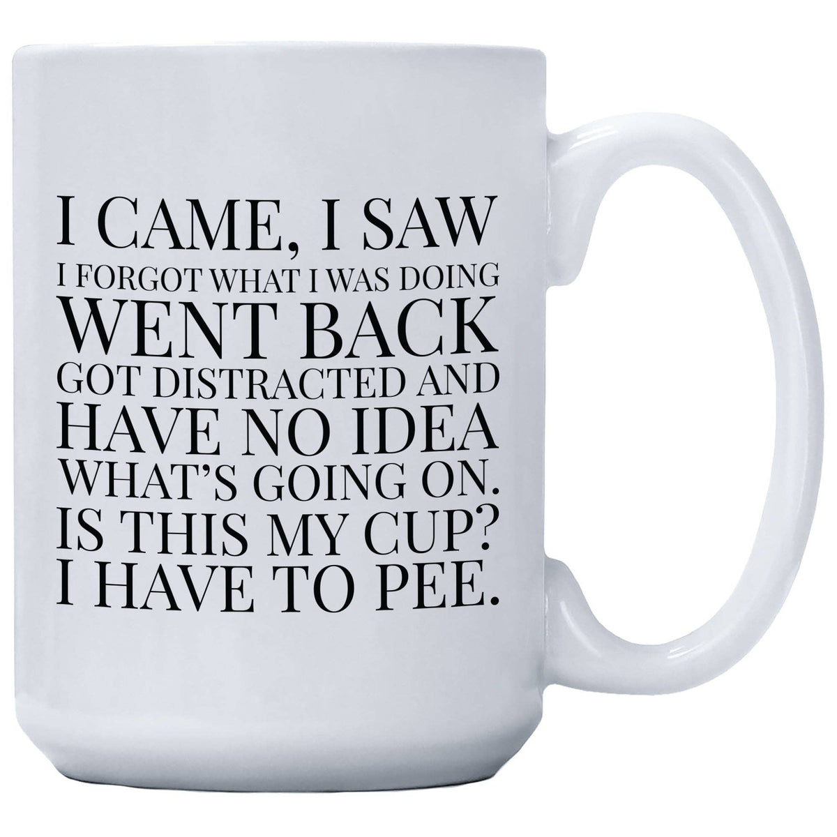 Coffee Mug - I Came I Saw I Forgot What I Was Doing