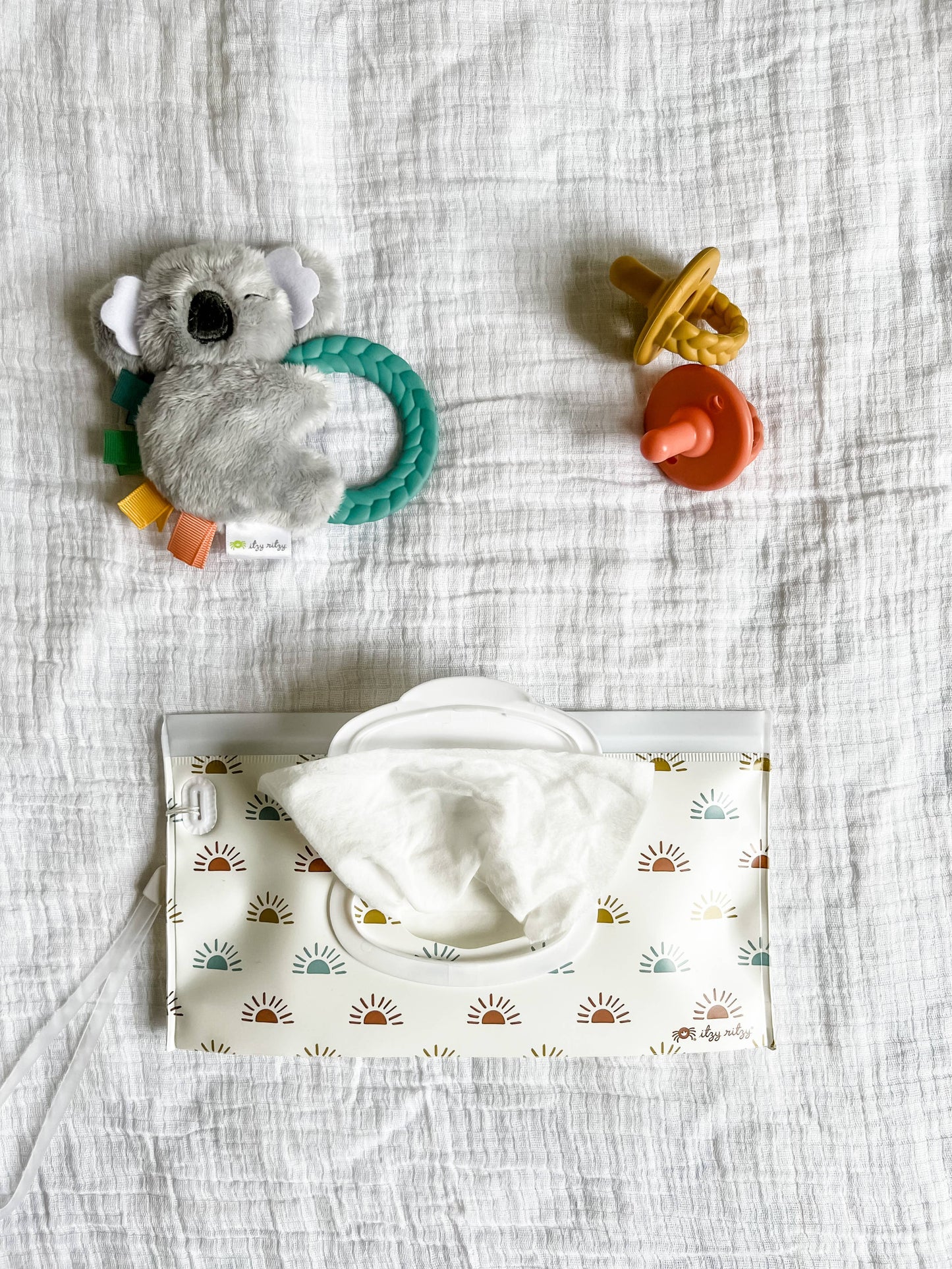 Take & Travel™ Pouch Reusable Wipes Cases: Raining Dinos