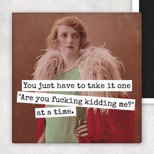 Magnet - You Just Have To Take It One Are You Kidding Me