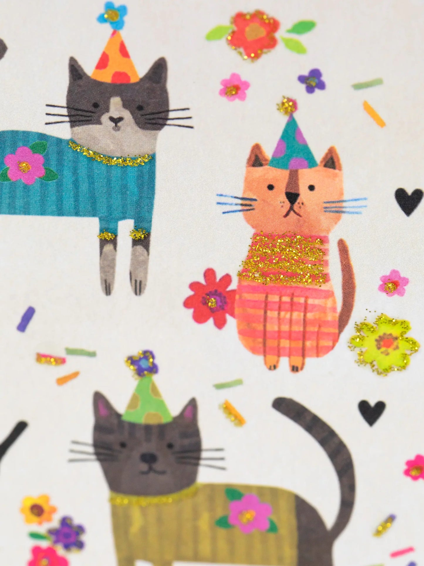 Natural Life Greeting Card - Happy Birthday Cat