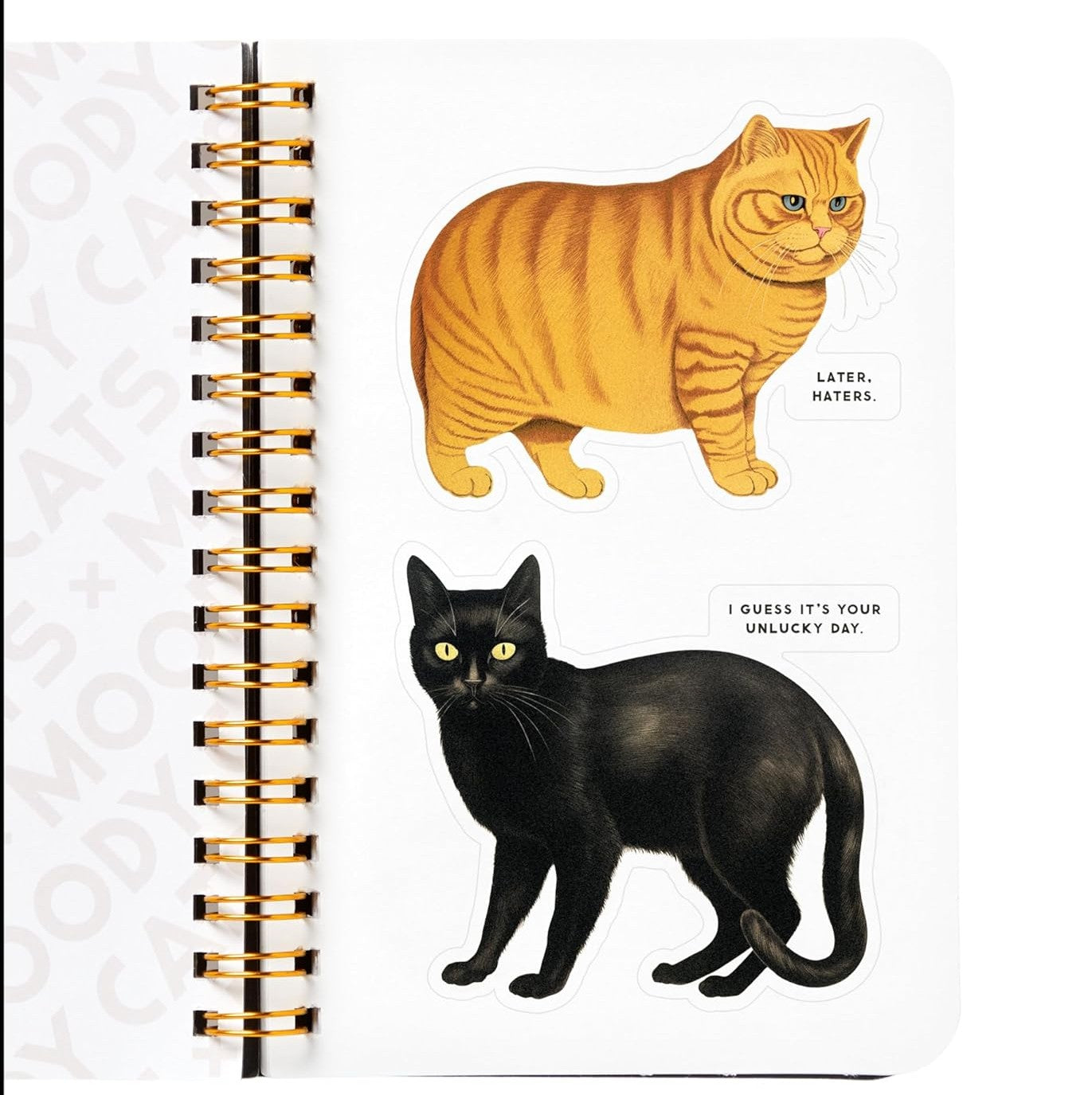 Moody Cats Sticker Book
