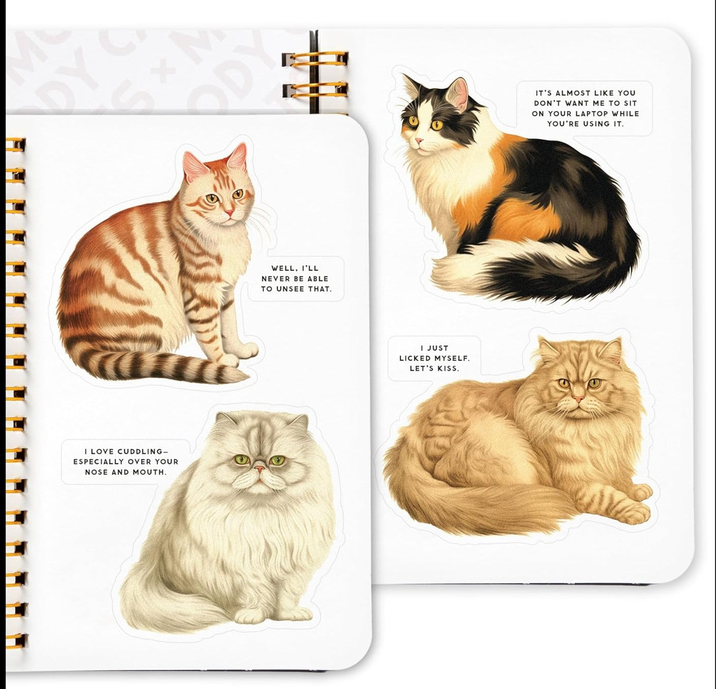Moody Cats Sticker Book