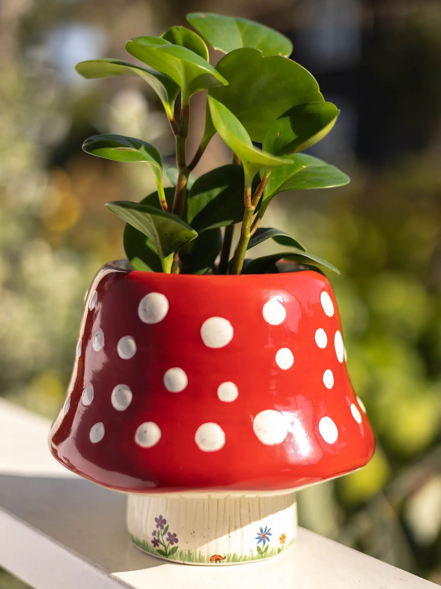Ceramic Planter - Mushroom