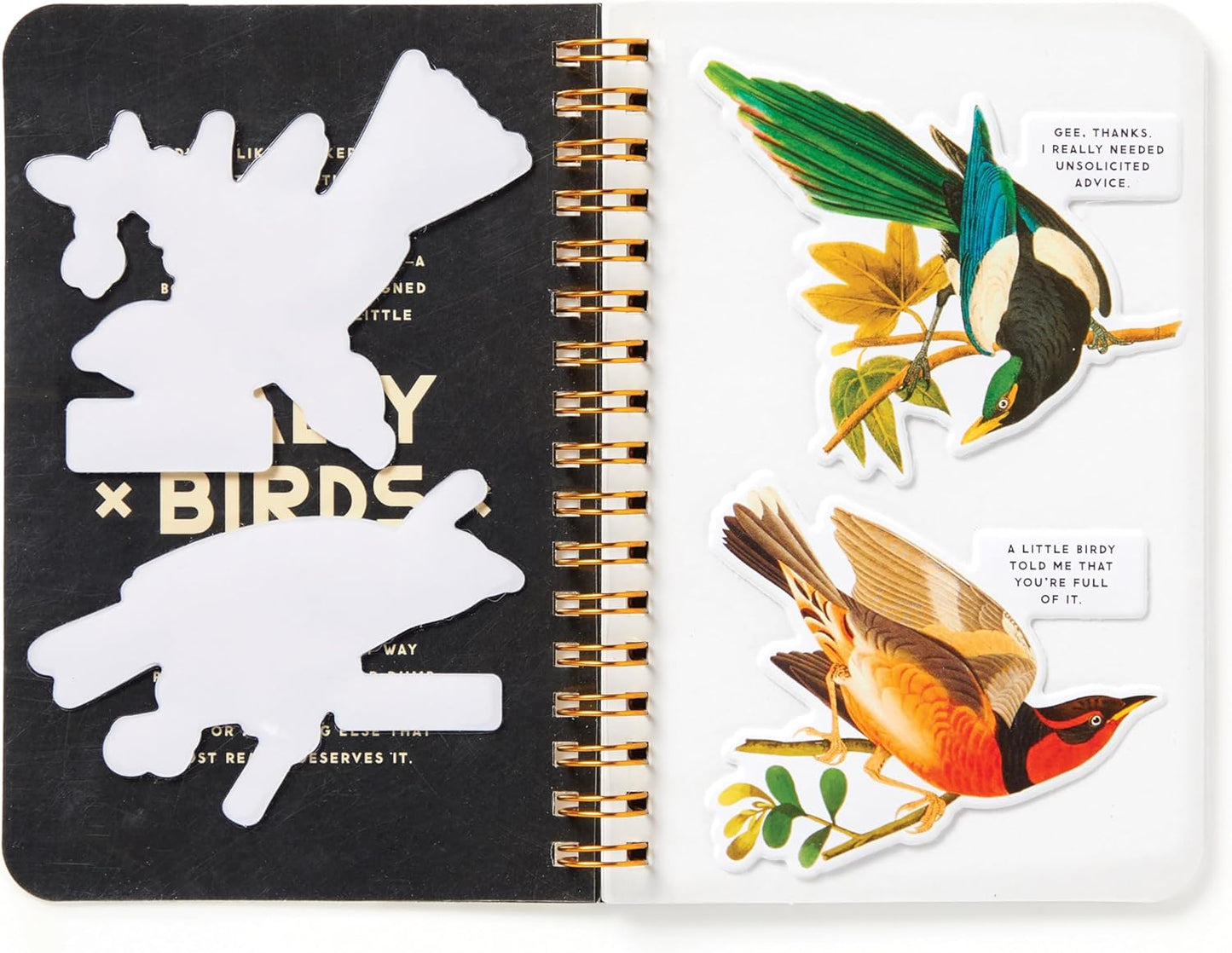 Salty Birds Sticker Book