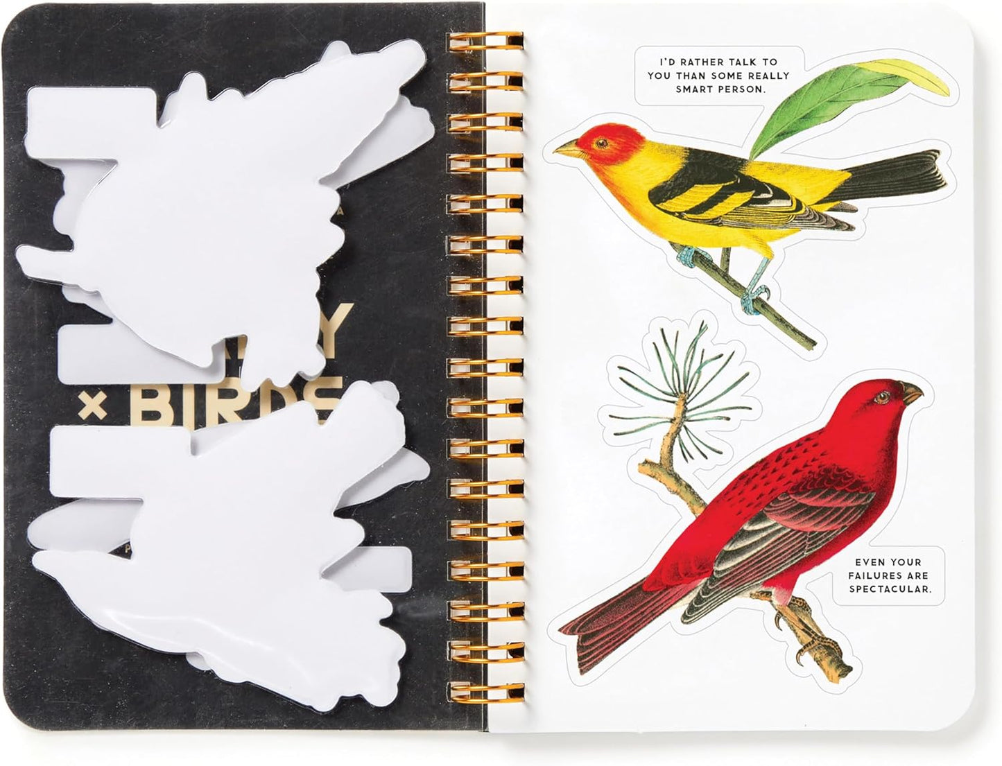 Salty Birds Sticker Book