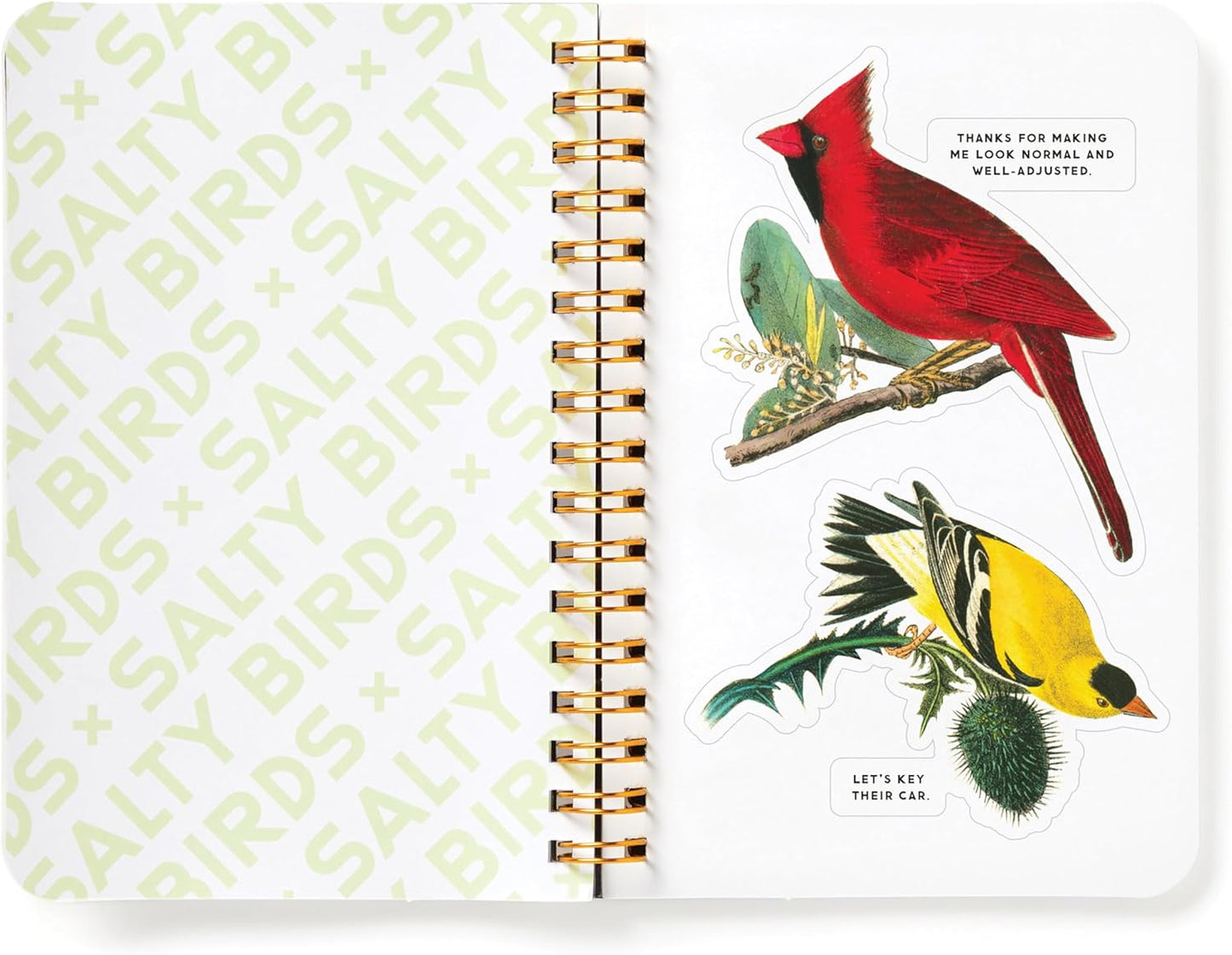 Salty Birds Sticker Book
