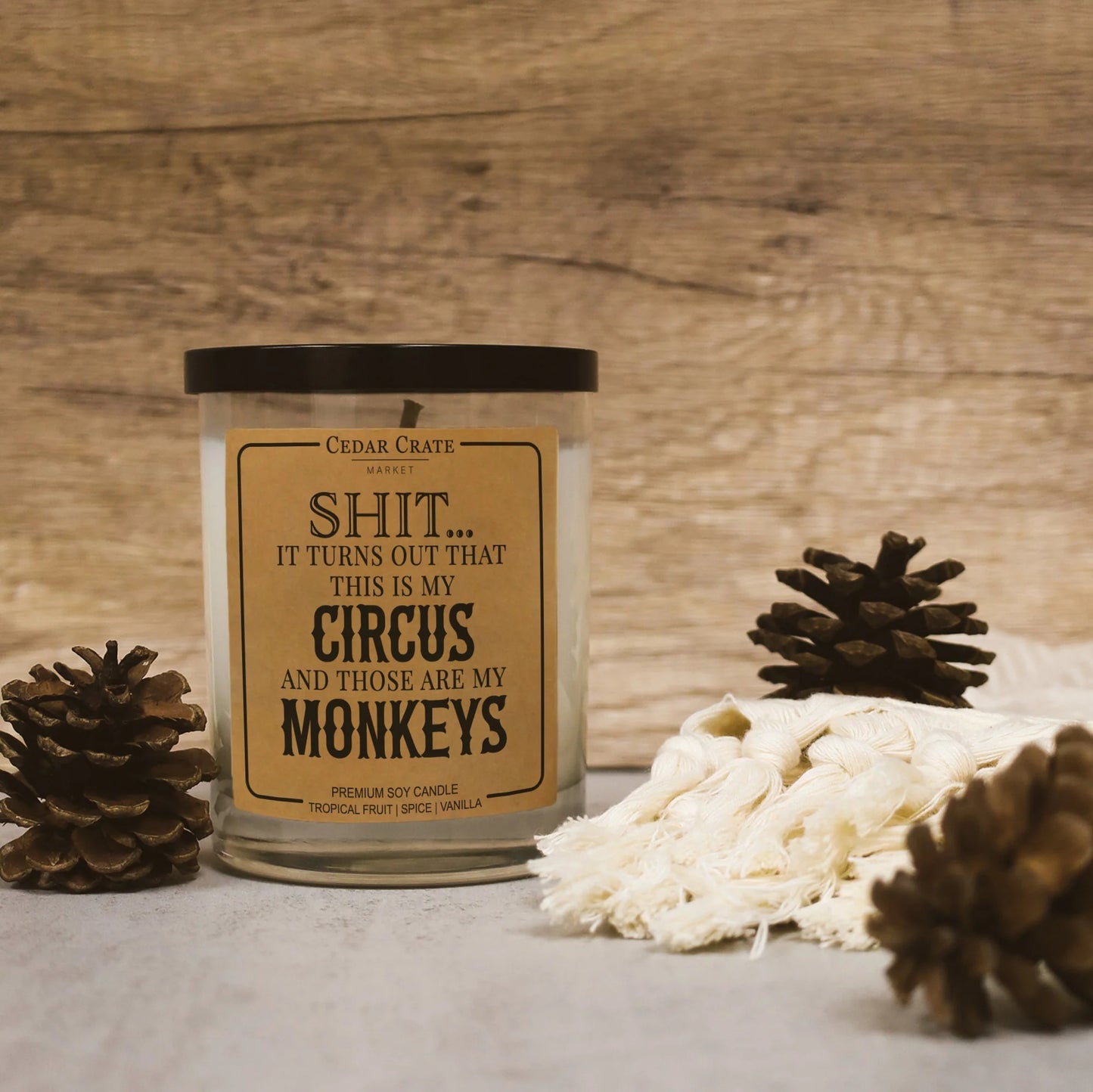 Shit… It Turns Out This Is My Circus Soy Candle
