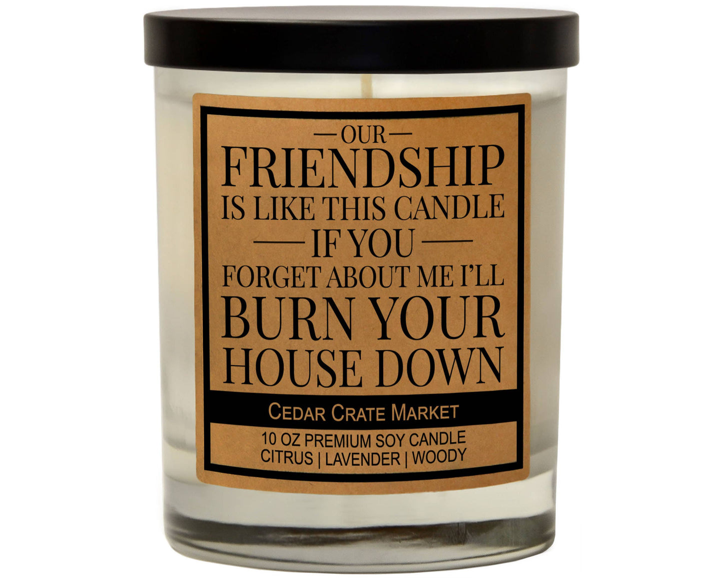 Our Friendship Is Like This Candle Soy Candle