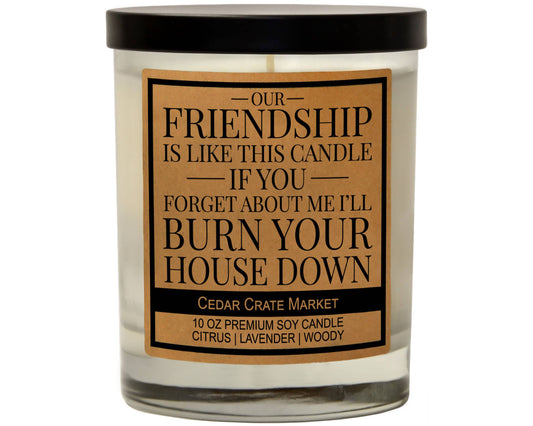 Our Friendship Is Like This Candle Soy Candle