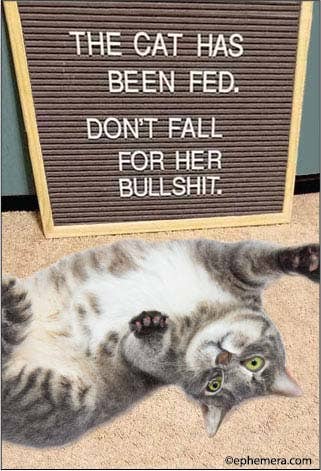 Magnet - The Cat Has Been Fed