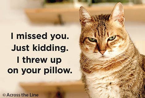 Magnet - I Missed You