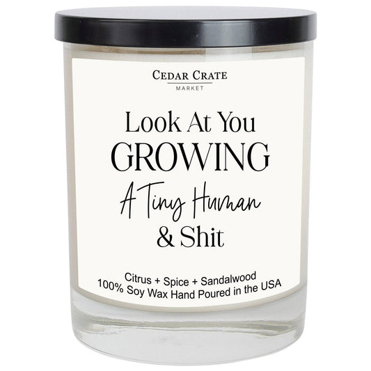 Look At You Growing A Tiny Human & Shit Soy Candle