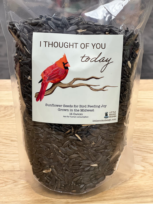 Thought Of You Today 16 oz Birdseed