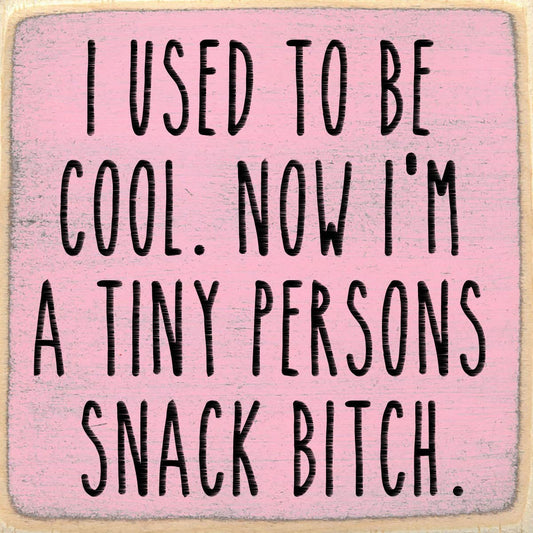 4X4 Block Sign - Snack Bitch