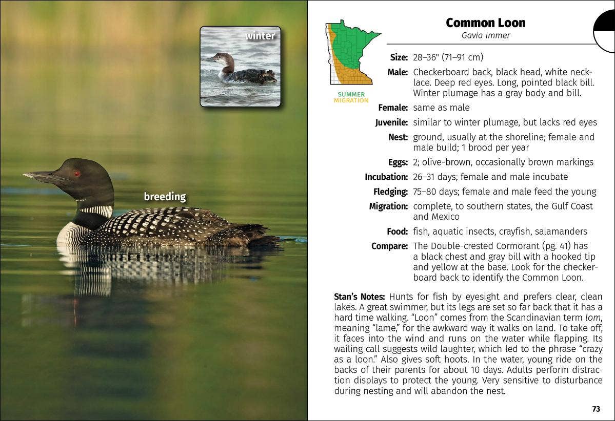 Birds of Minnesota Field Guide 3e