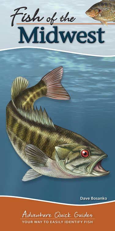 Fish of Midwest Quick Guide
