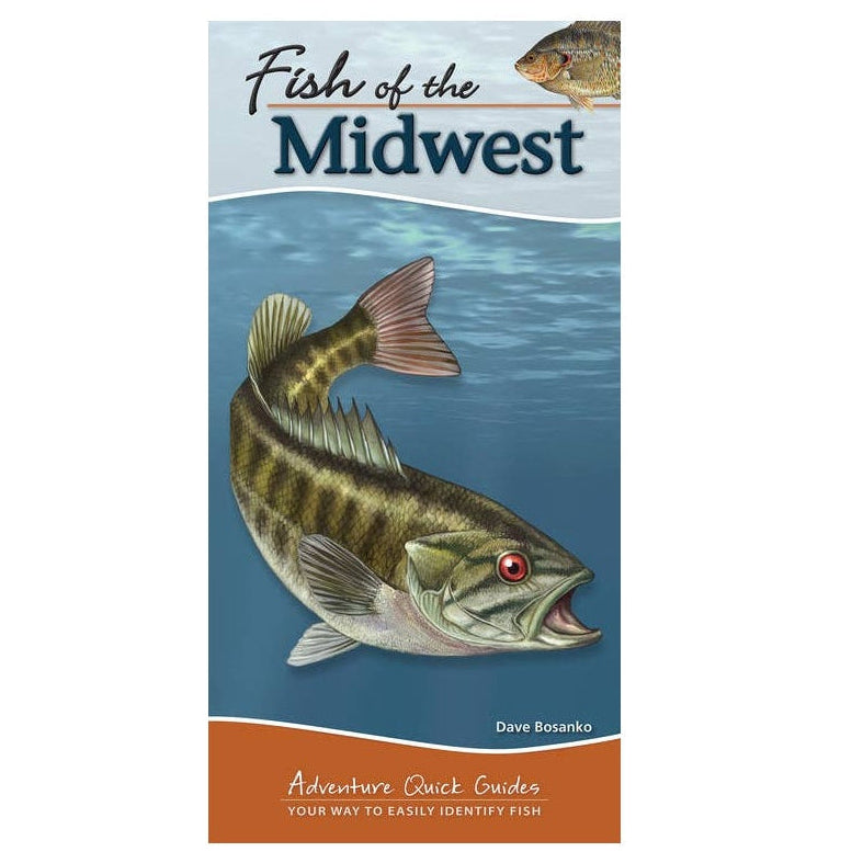Fish of the Midwest book cover by Dave Roesel, featuring a large bass illustration on a blue water background with an orange band at the bottom.