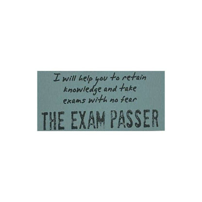 The Exam Passer  - Watchover Voodoo Dolls - Keychain