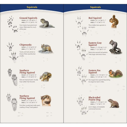 Animal Tracks of Midwest Quick Guide