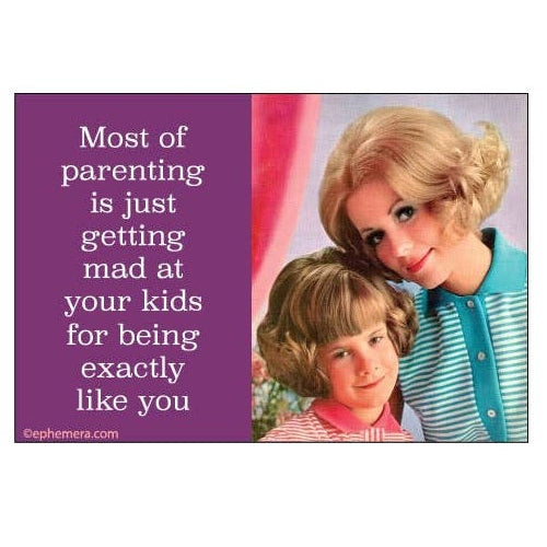 Magnet -: Most parenting is just getting mad at your kids for…