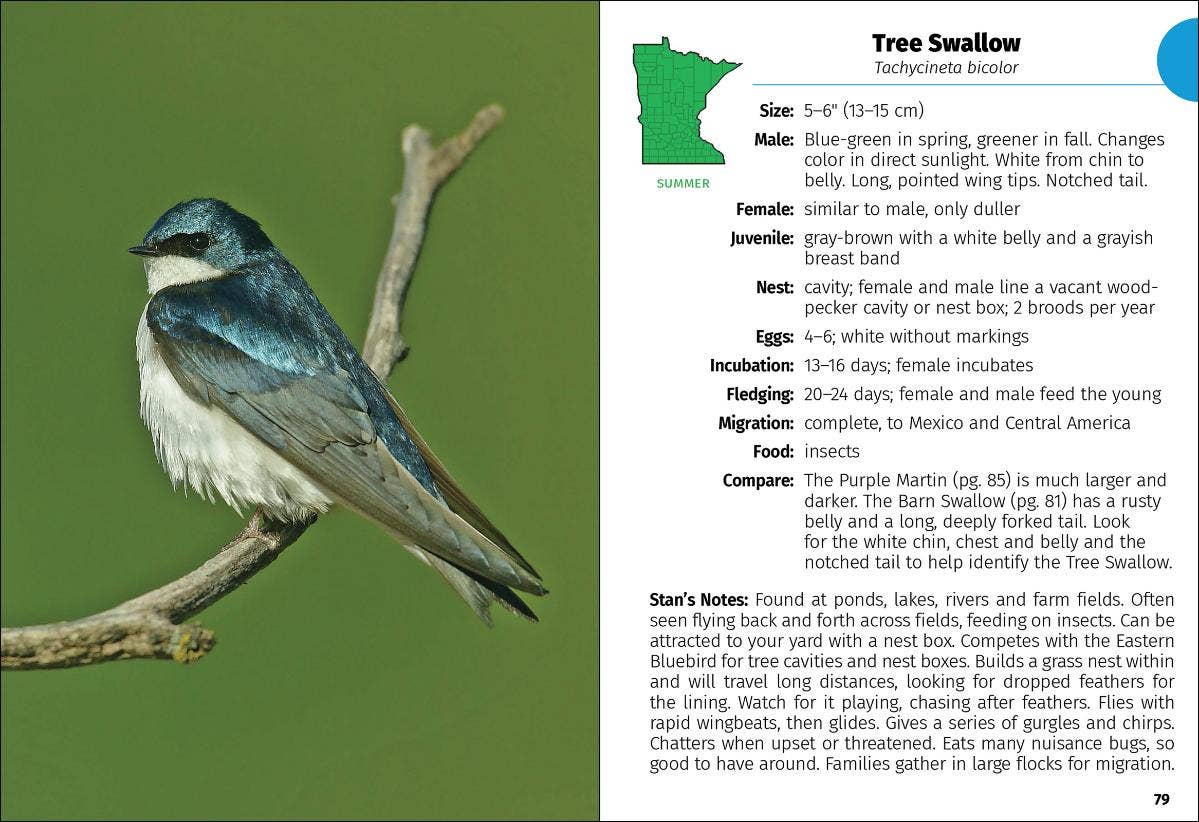 Birds of Minnesota Field Guide 3e