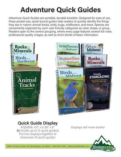 Birds of Midwest Quick Guide