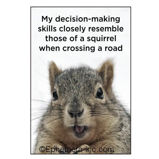 Magnet - My decision-making skills closely resemble