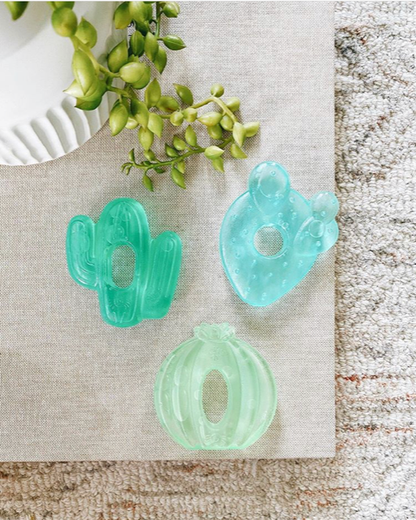 Cutie Coolers™ Water Filled Teethers (3-pack): Cactus