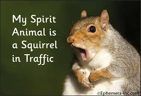 Magnet - My spirit animal is a squirrel in traffic