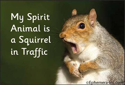 Magnet - My spirit animal is a squirrel in traffic