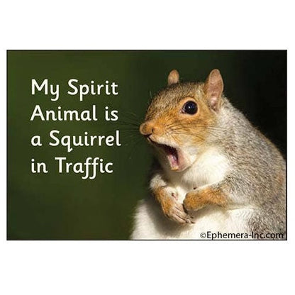 Magnet - My spirit animal is a squirrel in traffic
