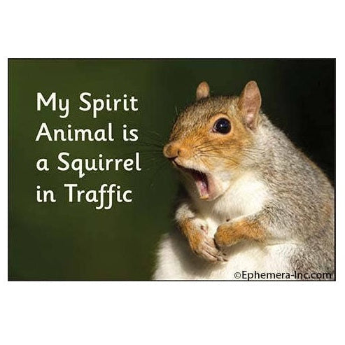 Magnet - My spirit animal is a squirrel in traffic