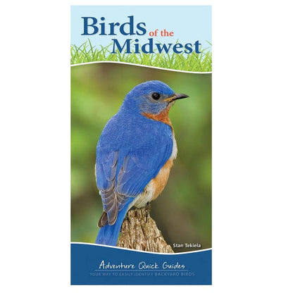 A vertical book cover titled "Birds of the Midwest" featuring a bluebird perched on a branch, with grass and blue sky graphics and the subtitle "Adventure Quick Guides.".