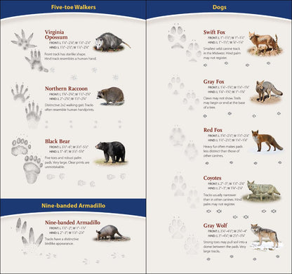 Animal Tracks of Midwest Quick Guide