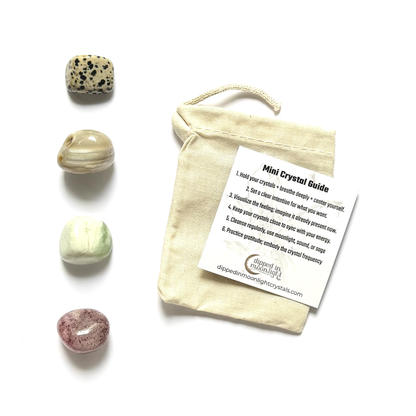 Besties - crystals for friendship - cheeky gift funny gift